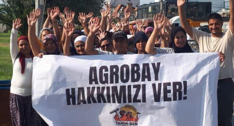 Agrobay’da direnen sera işçisi kadınlar: